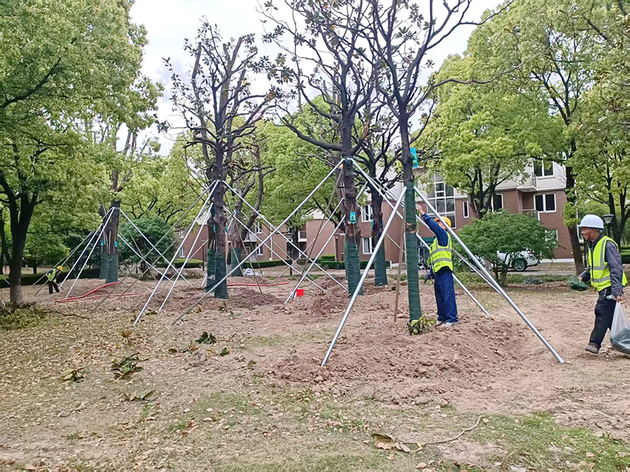 協(xié)鑫國際能源中心