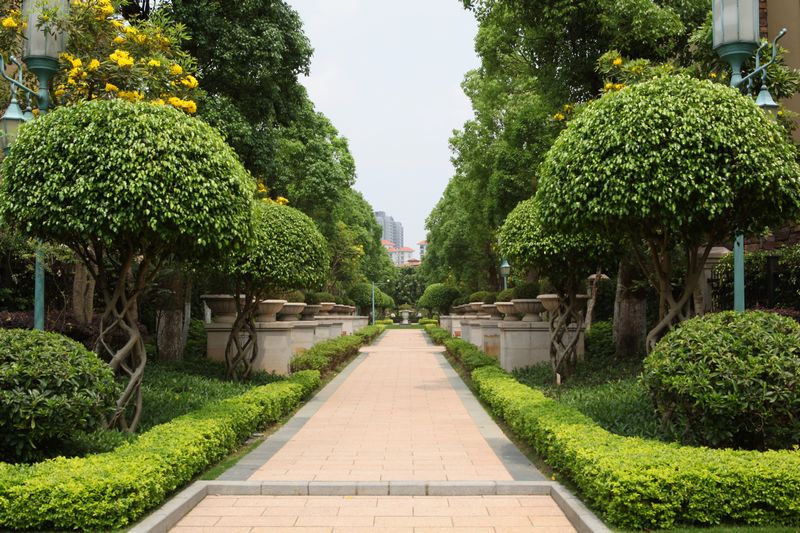 綠化養(yǎng)護(hù)